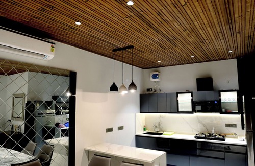 Malviya Nagar Villa | Palm Tree Villa with 3 Bedrooms and private pool in Central Jaipur