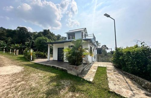 La Mesa House | Palma real