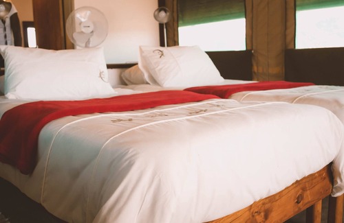 Palmwag Other | Palmwag Camping2Go