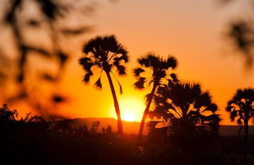 Palmwag Cabin | Palmwag Lodge
