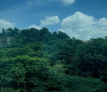 Batam Apartment | Panbil Residence Apartment with Netflix, Gym and Pool