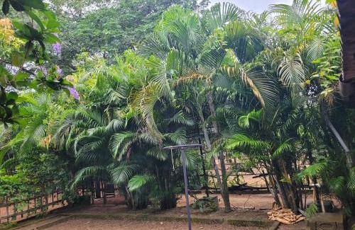 Bolpur Resort | Panchobon Art Resort