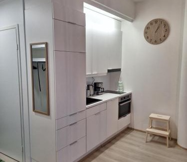 Downtown Kuopio Apartment | Pankin talo with free parking