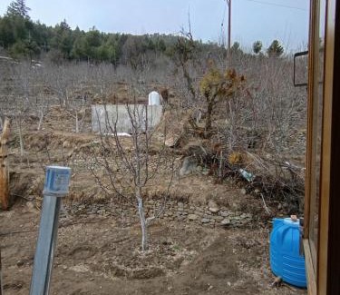 Kalpa House | Panorama Home Stay