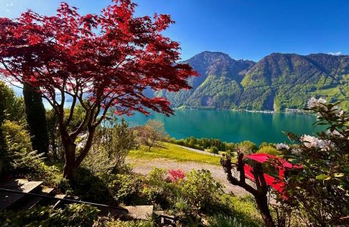 Ruetli Apartment | Panorama Lakeside Retreat Seelisberg