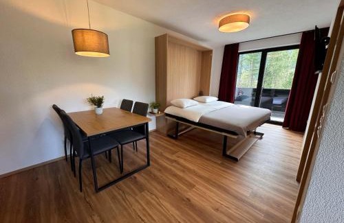 Laengenfeld Apartment | Panorama Peak Apartment