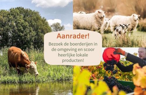 Municipality of Rijssen-Holten Resort | Panorama wellnesslodges x Vakantiepark Hölte