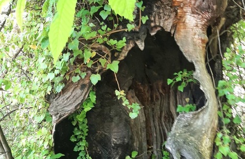 La Taha House | Panoramic alpujarras house and ayurveda massages