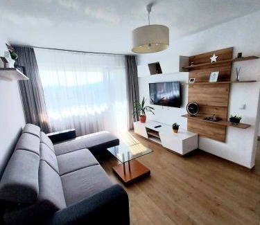Tirgu Mures Apartment | Panoramic City View Apartment
