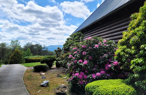 Turtletown Cabin | Panoramic Happiness ~ Majestic Mountain Views ~ 5000SF ~ Easy Access