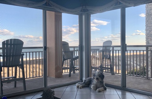 Midtown Ocean City Condo | Panoramic Ocean view from this Ocean front, southern exposure 2nd floor condo