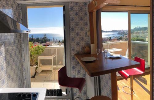 Beaulieu-sur-Mer Apartment | * Panoramic Top Roof in Beaulieu *