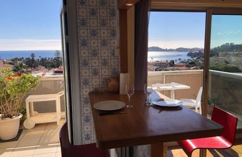 Beaulieu-sur-Mer Apartment | * Panoramic Top Roof in Beaulieu *