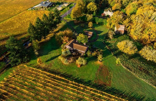 Dundee House | Panoramic Vineyard Views, Pet Friendly, New Deck, Game Room, Ping Pong, Darts, Walk to Vineyards