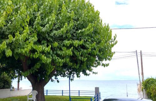 Valimitika House | Papadogiannopoulos House