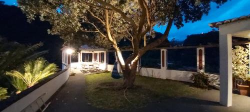 Faial House | Paraíso Resiliente