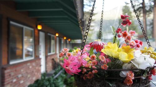Lakeside Park Hotel | Paradice Motel