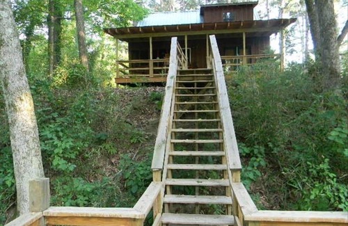 Wilburn Cabin | Paradise on the Little Red River - New. Excellent pricing & prime trout fishing!