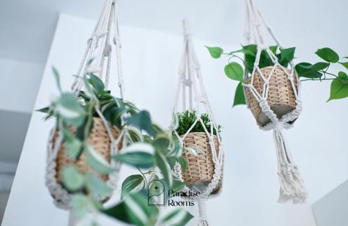 Bitritto Apartment | Paradise Rooms