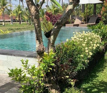 Pejeng Kawan House | Paraiso Cottage Ubud