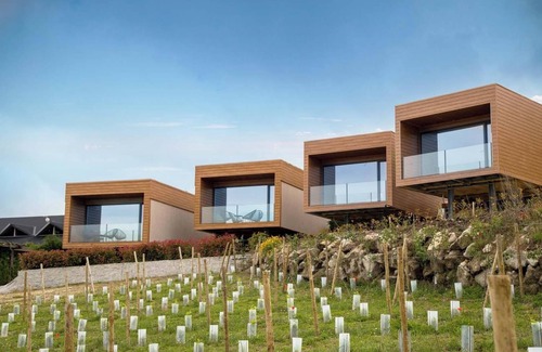 Lamego Cabin | Paraiso Douro