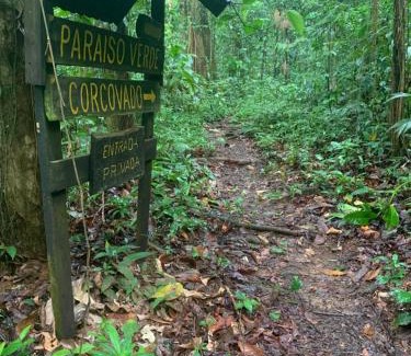 Palma Cabin | Paraisoverde-Corcovado Over Night