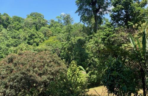 Palma Cabin | Paraisoverde-Corcovado Over Night