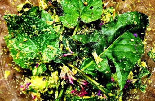 Vancia - Crepieux Bed & Breakfast | Parc de Biodiversité Le Castel - Maison d'hôtes & Table Bio