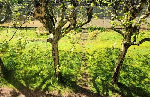 Vancia - Crepieux Bed & Breakfast | Parc de Biodiversité Le Castel - Maison d'hôtes & Table Bio