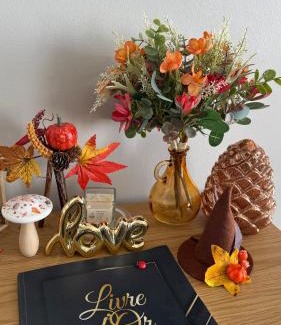 Boulevard des Poilus Apartment | Parenthèse nantaise, charmant T2 cosy et décoré avec parking