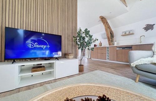 Bagneres-de-Bigorre Apartment | [PARENTHESE] Le Pic du Midi - 110m²