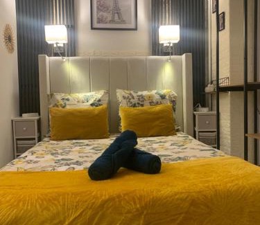 Amerique Apartment | paris beautiful cozy studio