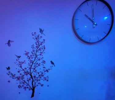 Rosny-sous-Bois Apartment | Paris Rosny 2 - Appartement Love Room with Jacuzzi