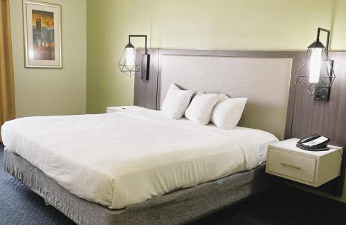 Albany Hotel | Park Inn by Radisson Albany
