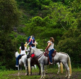 La Mesa Other | Parque del Mango Tipis