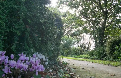 Llanerchymedd House | Pass the Keys | Large Lakeside Country House