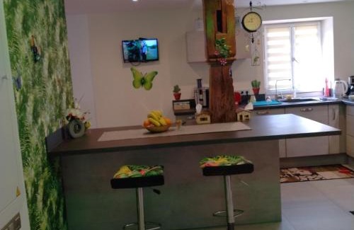 Horbourg-Wihr Apartment | Passage des Romains