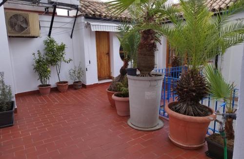 La Trinidad-San Juan y Todos los Santos House | Patio de la Escalera - Eduardo Dato 24