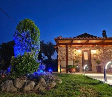 Mindiloglion House | Patras stonehouse with large yard - Πέτρινο σπίτι με αυλή