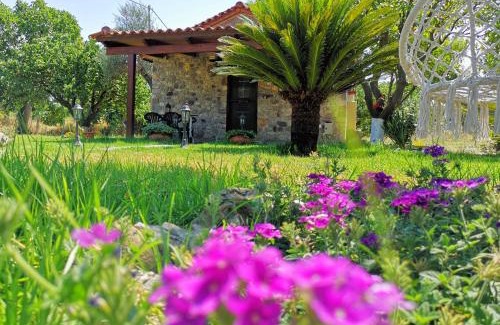 Mindiloglion House | Patras stonehouse with large yard - Πέτρινο σπίτι με αυλή