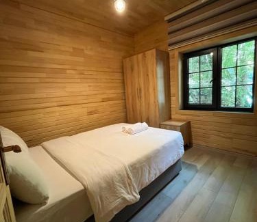 Uzungol Apartment | Paye Suite