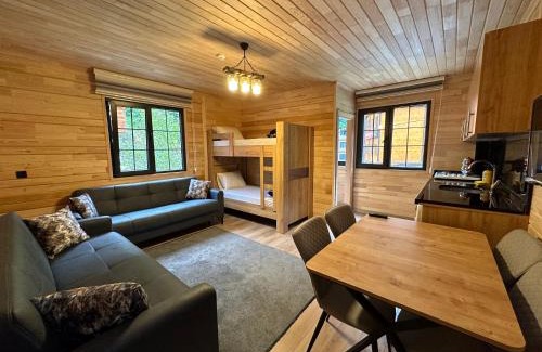 Uzungol Apartment | Paye Suite