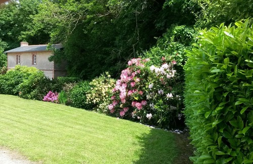 La Jumelliere House | Pays de la Loire-Charming Cottage-Vineyard and Chateaux- Puy du Fou-Angers-Saumur