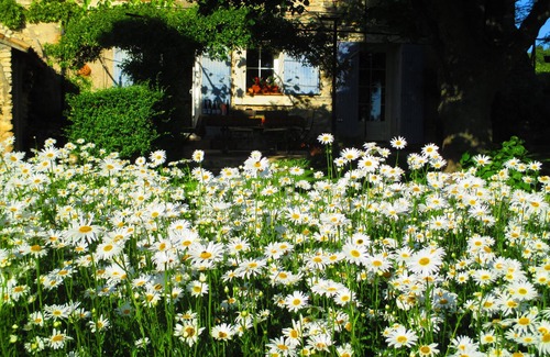 Vaison-la-Romaine Cottage | Peace and tranquility for 2 in the heart of Provence.