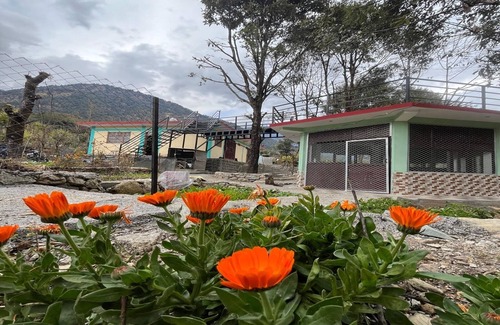 Dugalbitta Hotel | Peace Forest Retreat