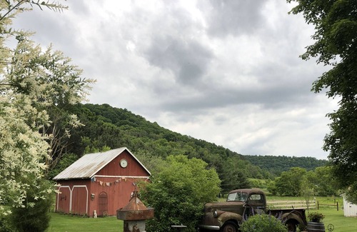 Cashton House | Peace in the Valley Rustic Rental-Larry's Loft