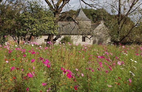 Comblessac House | PEACE, PRIVACY AND HISTORY—ALL WRAPPED UP IN A MAGICAL SETTING!