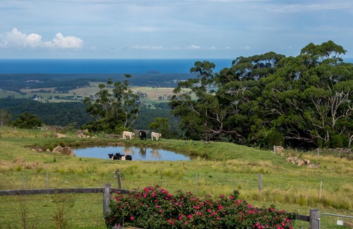 Pointer Mountain House | Peace & privacy on mountain topnSpectacular rural & coastal views