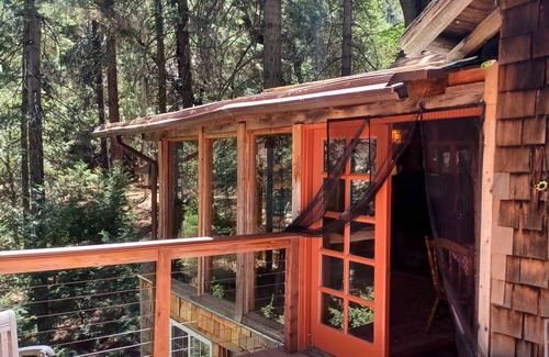 Palomar Mountain Cabin | Peaceful 1920s Cozy Cabin snuggled in 100 ft Pines -Palomar Mt, Bailey Meadows