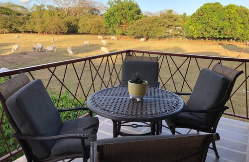 Sardinal Apartment | Peaceful apartment with a gym and view right outside Coco Beach